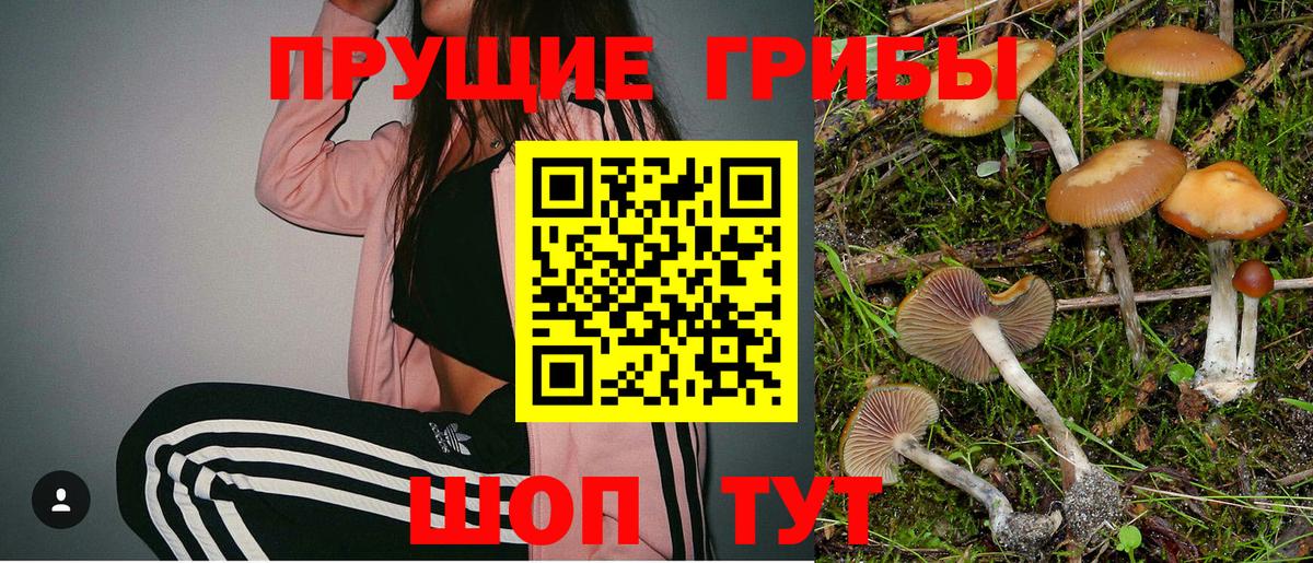 Псилоцибиновые грибы Psilocybine cubensis Нижнеудинск
