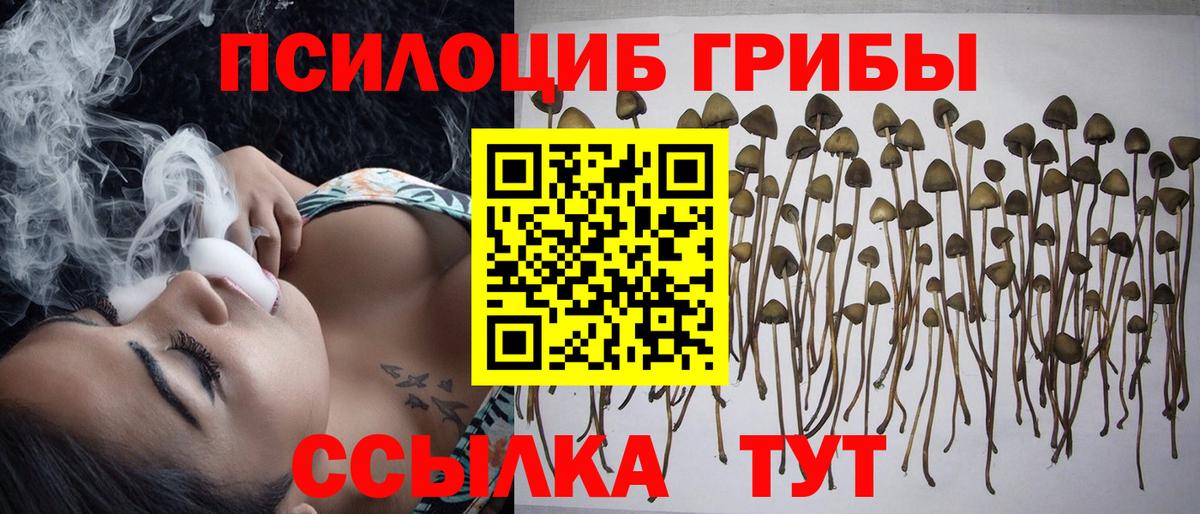 Галлюциногенные грибы мицелий  Галлюциногенные грибы Cubensis  Вход с VPN  Нижнеудинск 
